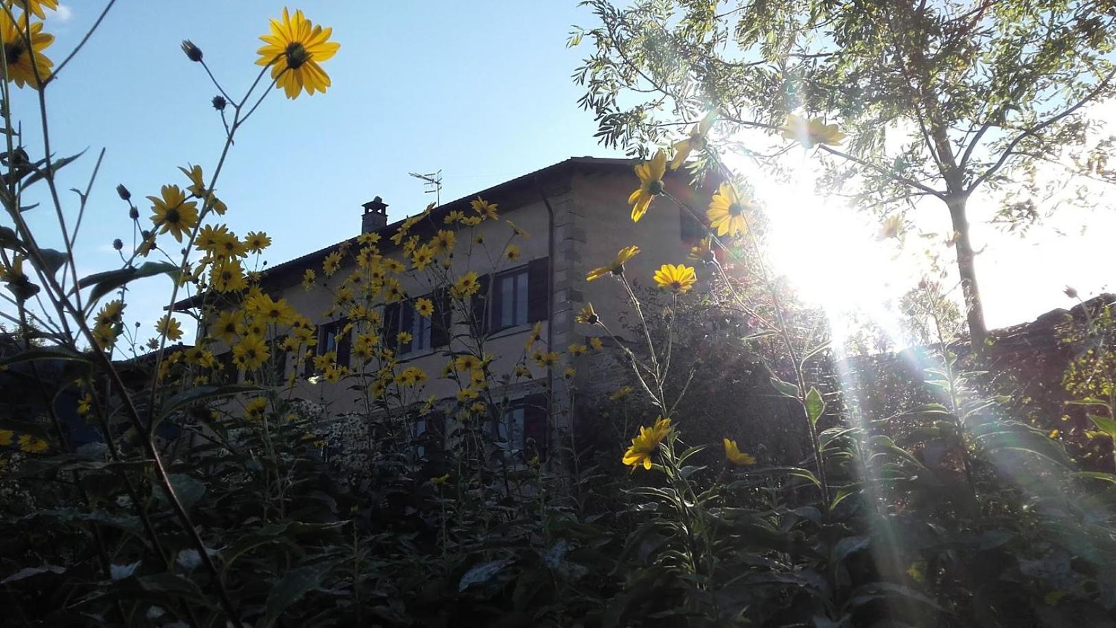 Fattoria La Guedrara * Sestola